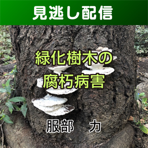 【総合技術講座・見逃し配信】④-1緑化樹木の腐朽病害