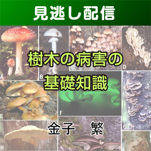 【総合技術講座・見逃し配信】④-2樹木の病害の基礎知識